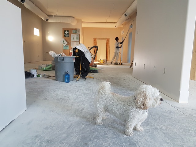 painting a room