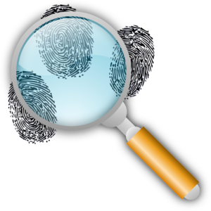 Crime Reports