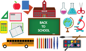 Schools in the area
