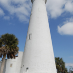 Read more about the article Property Records in Tallahassee, FL